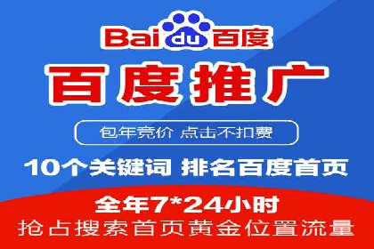 某企业通过SEO和SEM双管齐下实现业绩飞跃的案例